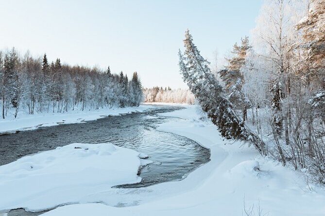 Rovaniemi: Winter Wonderland Vikaköngäs Hiking Tour & BBQ - Why Vikaköngäs fits a 3-hour winter plan so well