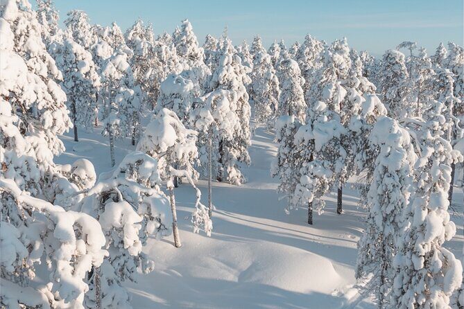 Rovaniemi: Winter Wonderland Vikaköngäs Hiking Tour & BBQ - Price and value: is $123 a fair deal for 3 hours?