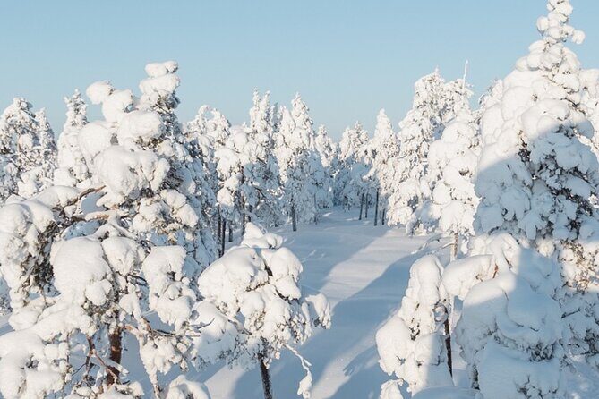 Rovaniemi: Winter Wonderland Vikaköngäs Hiking Tour & BBQ - Pickup and winter gear: what you’ll rely on