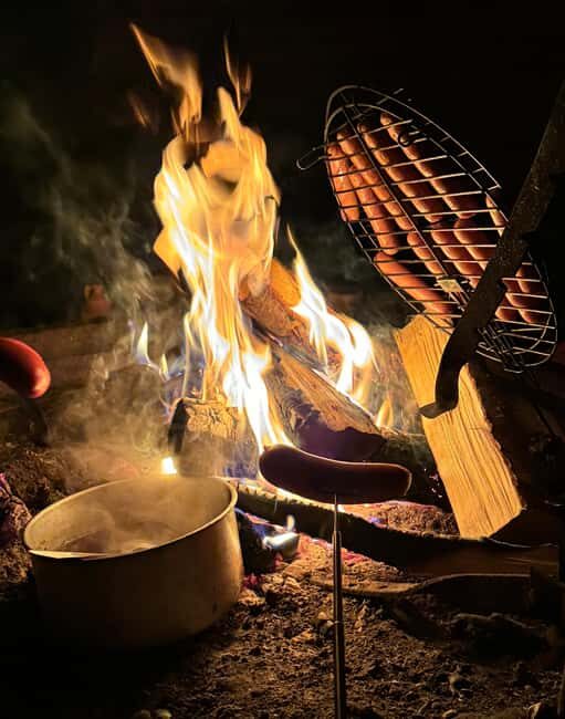 Rovaniemi:Northern Lights Hunt in Lapland Wilderness - Lapland at night: why this 4-hour hunt feels different