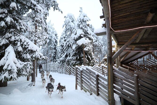 Santa Claus Village, Husky and Reindeers Combo Safari - Quick Highlights You’ll Want to Know