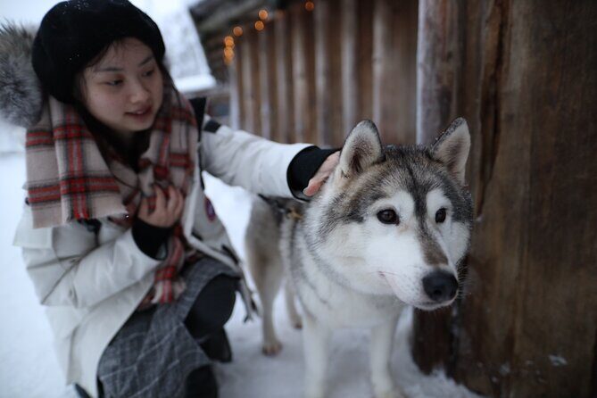 Santa Claus Village, Husky and Reindeers Combo Safari - Reindeer Yard: The Farm Visit and the Sleigh Ride