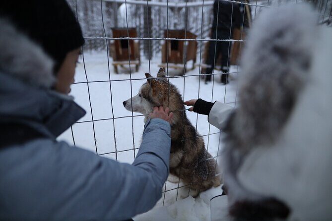 Santa Claus Village, Husky and Reindeers Combo Safari - The 4-Hour Schedule: What You Get, Minus the Wishful Thinking
