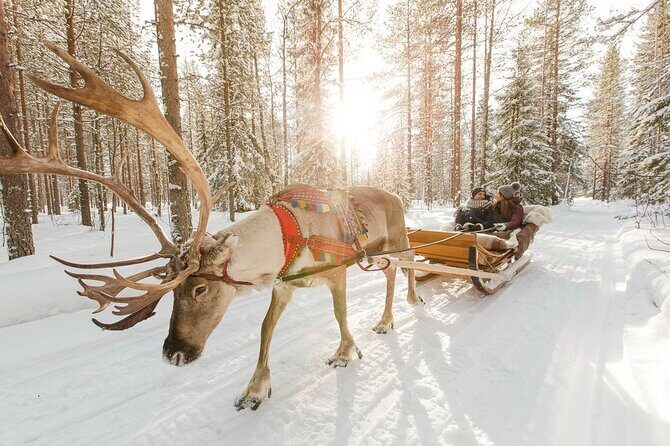 Santa's Reindeer & Husky Safari + Aurora BBQ in Rovaniemi - Aurora Hunt at Night: Two Spots, One Job—Stay Patient and Warm