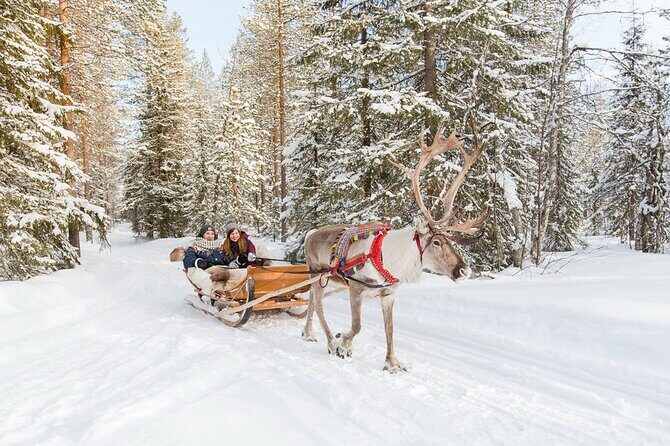 Santa's Reindeer & Husky Safari + Aurora BBQ in Rovaniemi - Price and Logistics: Is $289 Good Value?