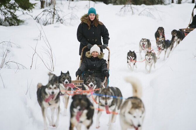 Santa's Reindeer & Husky Safari + Aurora BBQ in Rovaniemi - Cold-Weather Comfort: What You’ll Thank Yourself For Bringing
