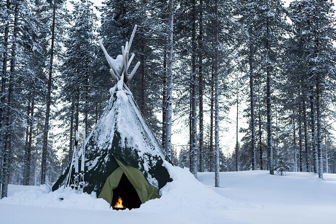 Ski Trek to the Wilderness - Extra Small group - Morning Start in Rovaniemi: Pickup, Timing, and Where to Go