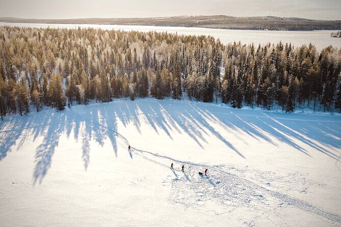 Ski Trekking Safari in Lapland - Entering the backcountry: skis, technique, and safety