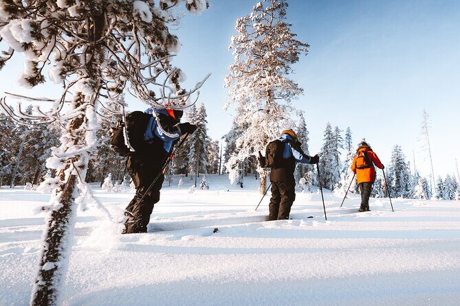 Ski Trekking Safari in Lapland - Taiga forest and deep snow: what you’re really seeing