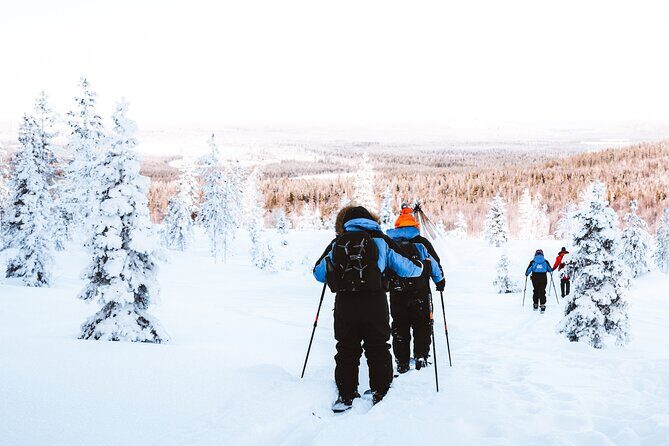 Ski Trekking Safari in Lapland - Group size and tour style: private means more control