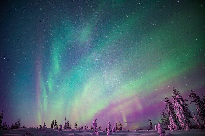 Ski Trekking under the Northern Lights - Price and value: $141.78 for a guided Arctic night