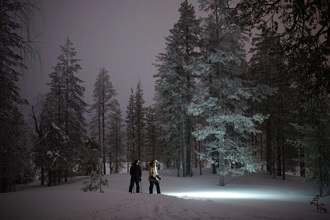 Ski Trekking under the Northern Lights - Who should book Ski Trekking under the Northern Lights?