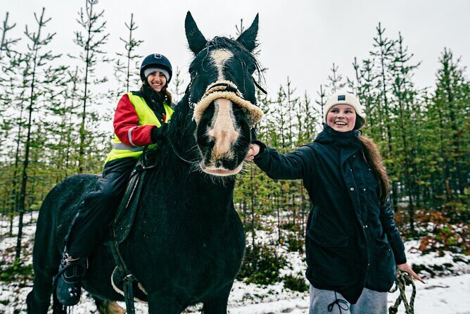 Small-Group Arctic Circle Horse Riding from Rovaniemi - What you do during the 3 hours: forest paths and slow Lapland moments
