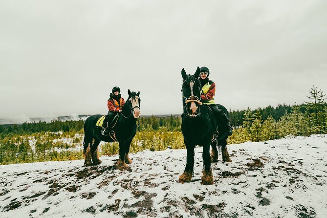 Small-Group Arctic Circle Horse Riding from Rovaniemi - Group size: small enough for people skills, big enough for comfort
