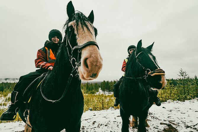 Small-Group Arctic Circle Horse Riding from Rovaniemi - Guides in the spotlight: Alberto and Jaime set the tone