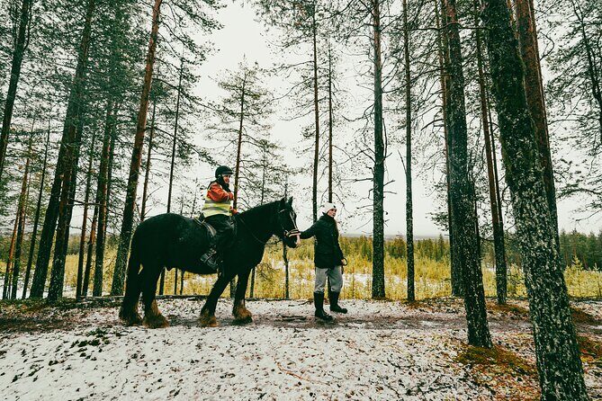 Small-Group Arctic Circle Horse Riding from Rovaniemi - Price and value: is $145 a good deal for 3 hours in Lapland?
