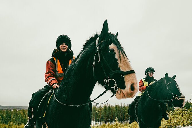 Small-Group Arctic Circle Horse Riding from Rovaniemi - Who should book this horse ride (and who should skip it)