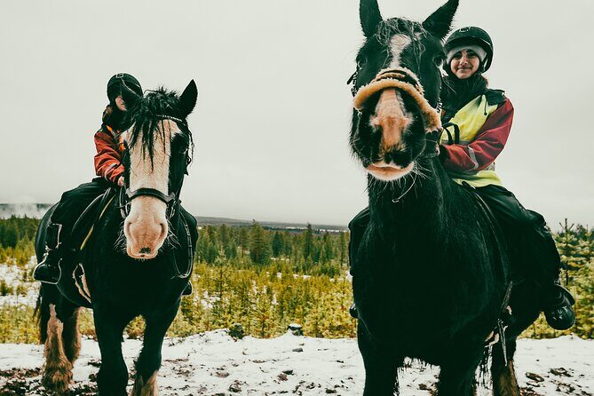 Small-Group Arctic Circle Horse Riding from Rovaniemi - From Rovaniemi to the farm: pickup, meeting point, and the real timing