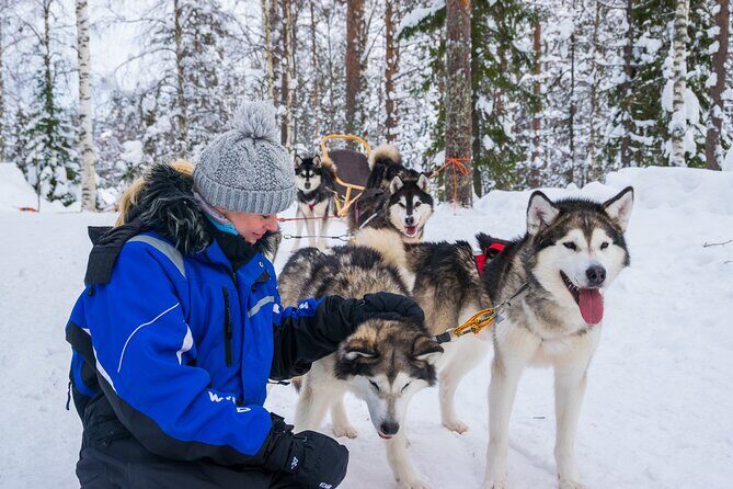 Small-Group Husky Mushing Experience in Rovaniemi - Getting From Rovaniemi to Parpalandia Takes You Away From the Noise