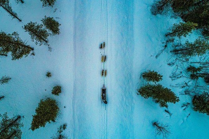 Small-Group Husky Mushing Experience in Rovaniemi - Weather, Packing, and Who This Tour Really Suits