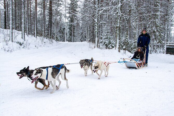 Small-Group Husky Mushing Experience in Rovaniemi - Your Sled Team: How Self-Driving Works on the 6–10 km Track