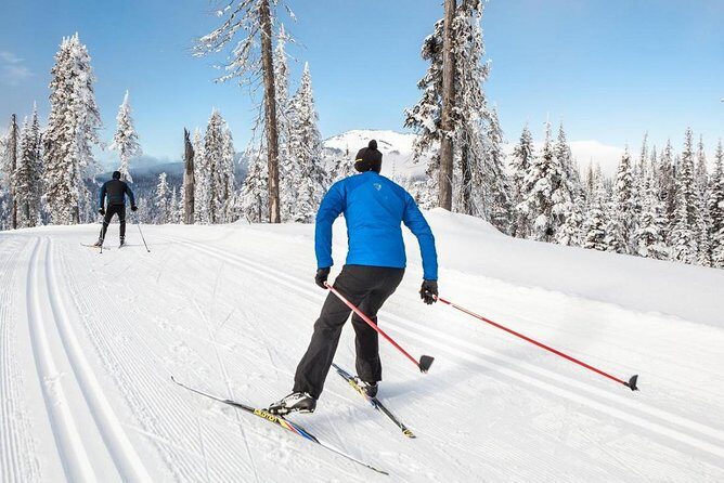 Small-Group Lapland Cross Country Ski - The Most Important Bits Before You Go