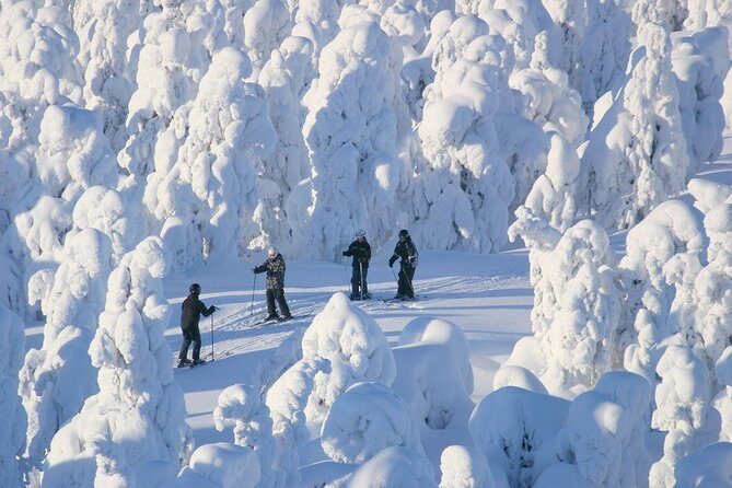 Small-Group Lapland Cross Country Ski - Booking Checklist: What to Decide Before You Commit