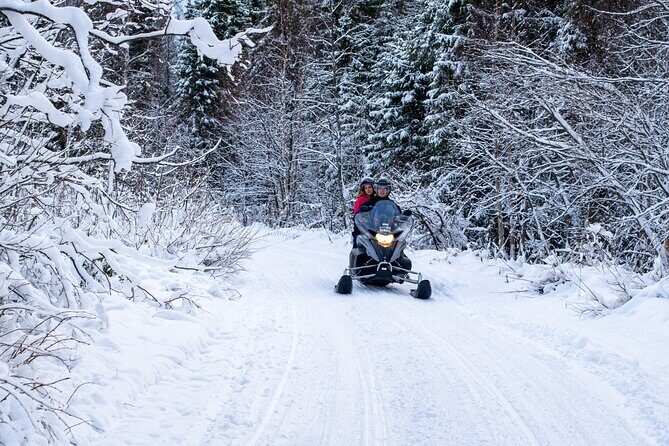 Small-Group Snowmobile Experience in Rovaniemi - Small Group, Real Guidance: Safety First Without Killing the Fun