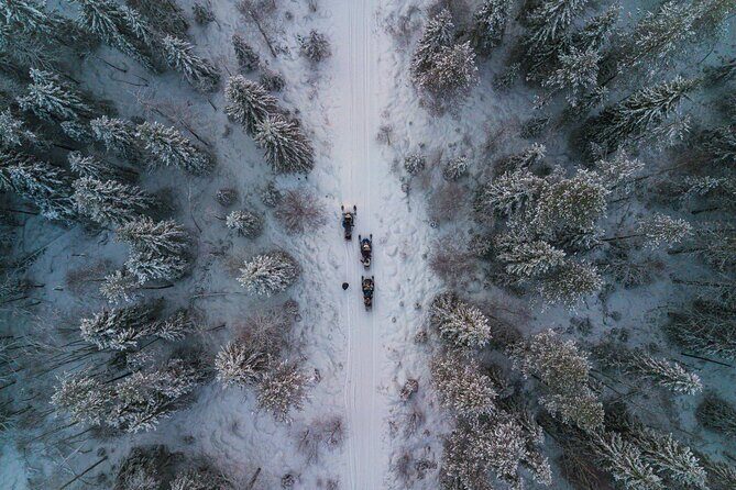 Small-Group Snowmobile Experience in Rovaniemi - The Route Around Parpalandia: Forest Tracks, Lake Views, and Photo Stops