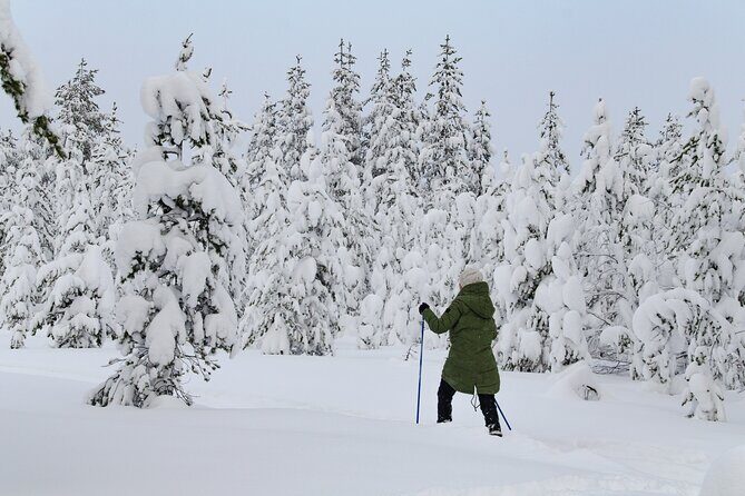 Small-Group Snowshoeing Adventure In Lapland - Key Highlights You’ll Care About