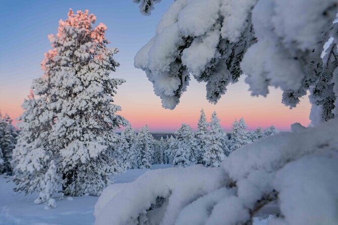 Small-Group Snowshoeing Adventure In Lapland - Why This 3-Hour Snowshoe Walk Feels Worth It