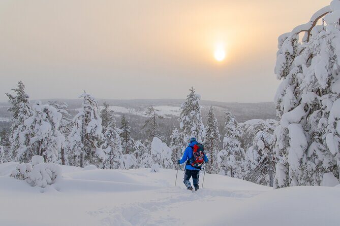 Small-Group Snowshoeing Adventure In Lapland - What You’re Doing After You Leave Rovaniemi