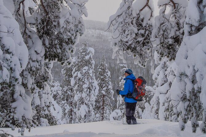Small-Group Snowshoeing Adventure In Lapland - Your Guide’s Role: More Than Just Leading the Way