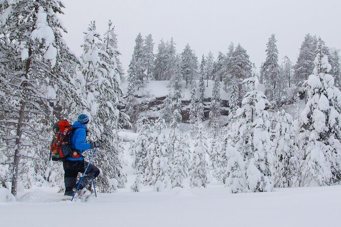 Small-Group Snowshoeing Adventure In Lapland - Coffee, Tea, and Snacks: Small Comfort, Big Impact