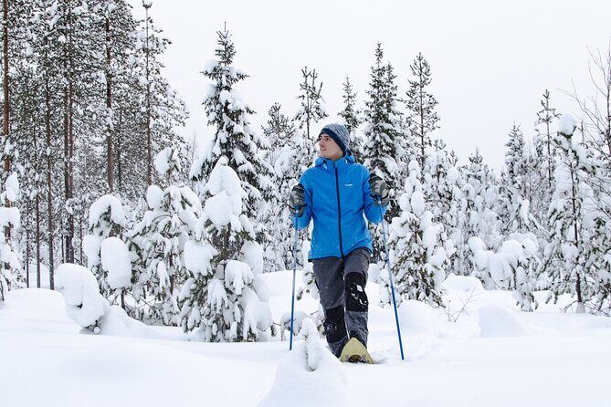 Small-Group Snowshoeing Adventure In Lapland - Getting to Jaakonkatu 4–6 and Your Pickup Option