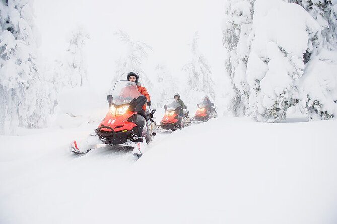 Snowmobile Adventure in Lapland - Southern Lapland Taiga Ride: How This 4-Hour Adventure Feels in Real Life