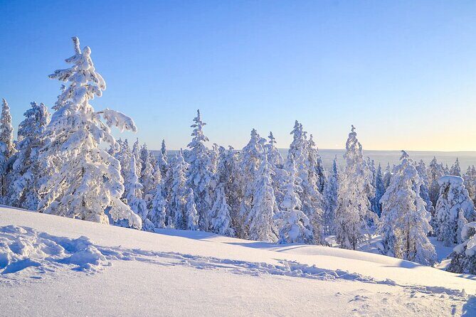 Snowmobile Adventure in Lapland - Your Snowmobile Setup: Two Adults, One Machine, and How Driving Usually Works