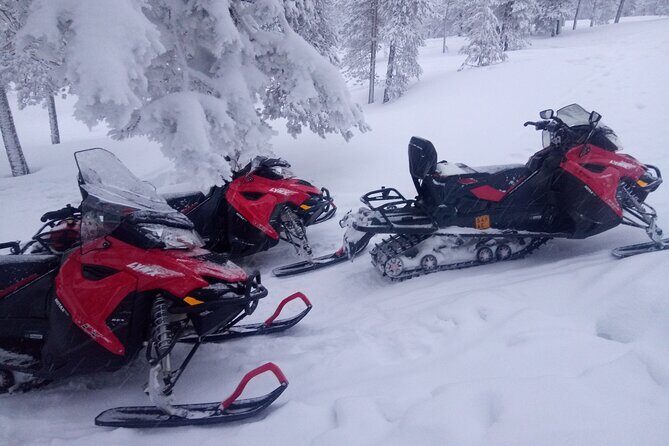 Snowmobile and Ice Fishing Excursion (private tour) - Ice fishing on the frozen water: learn the basics, then try
