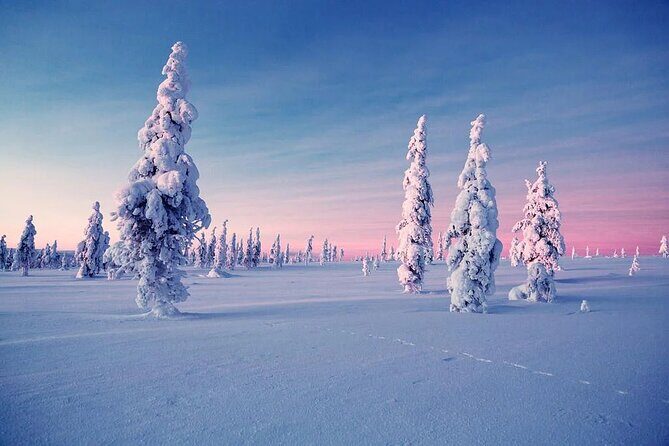 Snowmobile and Ice Fishing Experience - Ice fishing on frozen lakes: drilling, tips, and the real Arctic cold