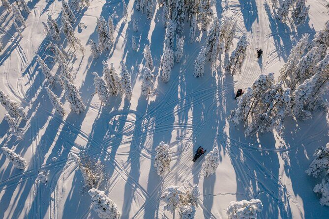 Snowmobile & Animals Day Tour - Key points before you go