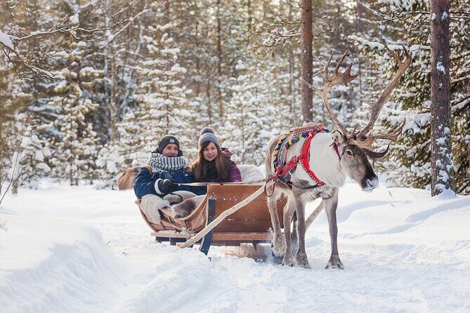 Snowmobile & Animals Day Tour - Reindeer sleigh ride: scenic track, calm pace, and warm-up moments