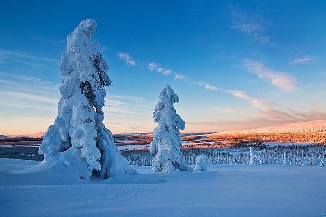 Snowmobile Driving - Morning start - Weather, timing, and trail rules you should actually care about
