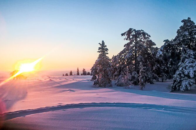Snowmobile Safari in the Nature - Fire, Food, and the Extra Cozy Factor
