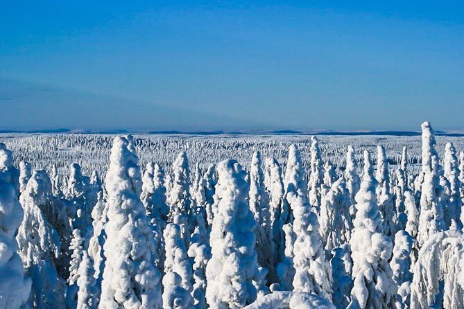 Snowmobile Safari in the Nature - Timing Reality Check: 3 to 4 Hours, With Conditions in the Mix