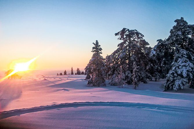 Snowmobile Safari in the Nature - Morning start - First Briefing, Then Riding: How the Tour Teaches You