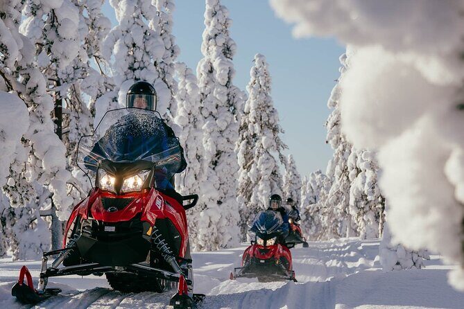 Snowmobile Safari into the Arctic Circle Forest - Key highlights at a glance