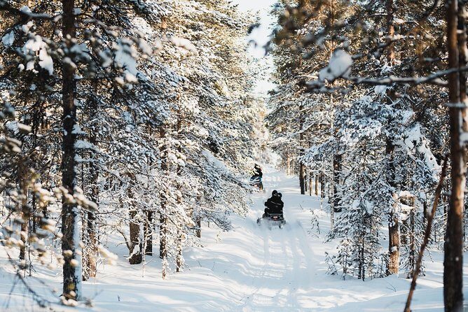Snowmobile Safari into the Arctic Circle Forest - Suit Up Like You Mean It: Wild Nordic Gear and What Happens Before You Drive