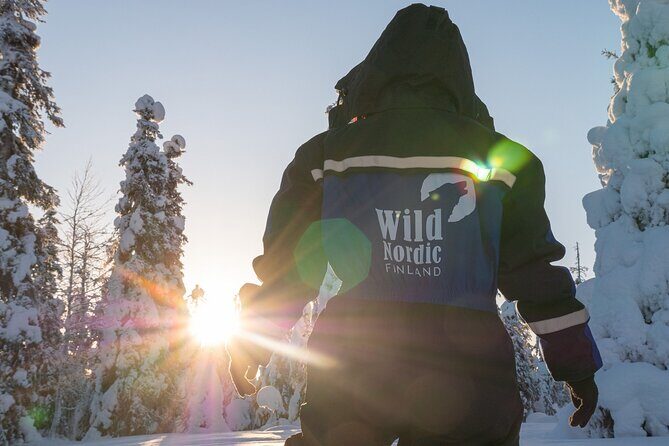 Snowmobile Safari into the Arctic Circle Forest - Daylight Timing in Rovaniemi: Get the Light, Then Chase the Dark