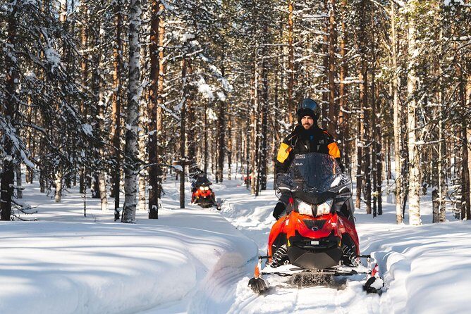 Snowmobile Safari into the Arctic Circle Forest - Pickup in Rovaniemi: Where to Wait, Timing Drift, and Why It Matters