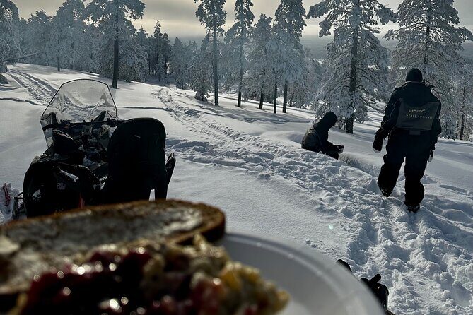 Snowmobile Safari to the Wilderness - Key highlights you’ll actually care about